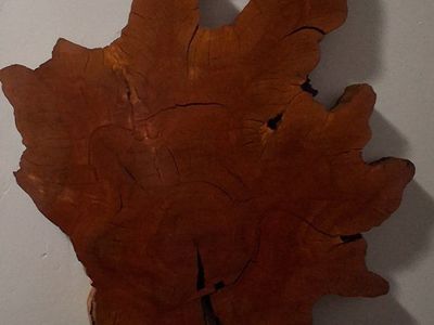 Live Edge Burl Slab