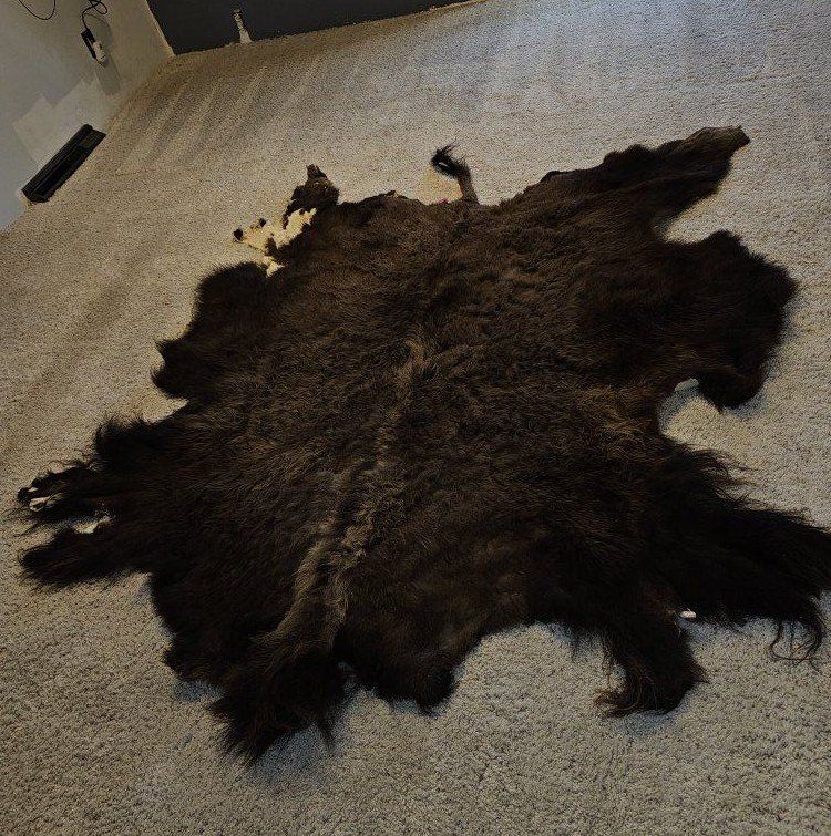Buffalo Hide
