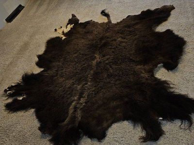Buffalo Hide