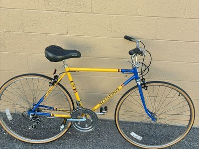 1974 Schwinn 12 Speed