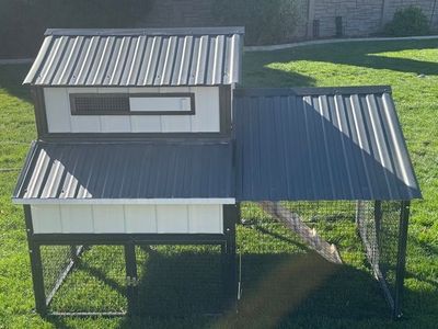 Producer's Pride Bungalow Chicken Coop, 6 Chicken Capacity