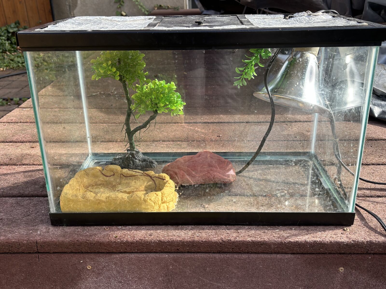 10 gallon reptile tank + heat lamp and rock, water bowl, tree decoration