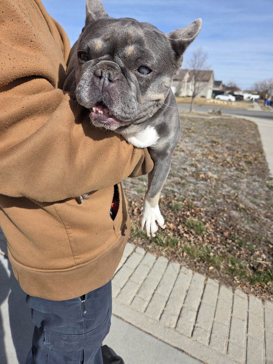 Found a lost girl! UPDATE!!