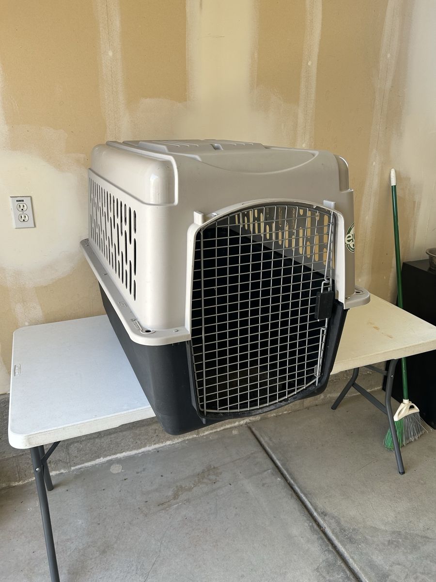 Pet Taxi Travel Carrier for Dogs or Cats - Durable Plastic Pet Kennel, Large
