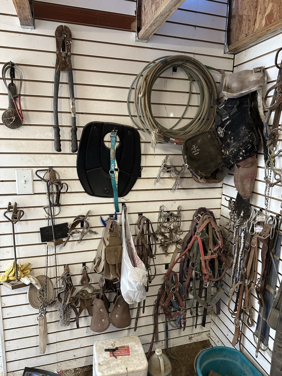 Horse Tack