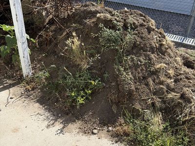 Free fill/clean soil