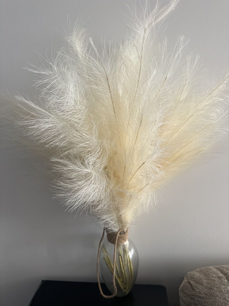 Chic Pampas Grass - Laveen