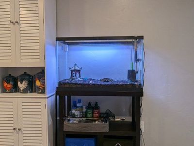 Fish Tank