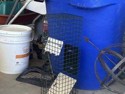 Small animal trap