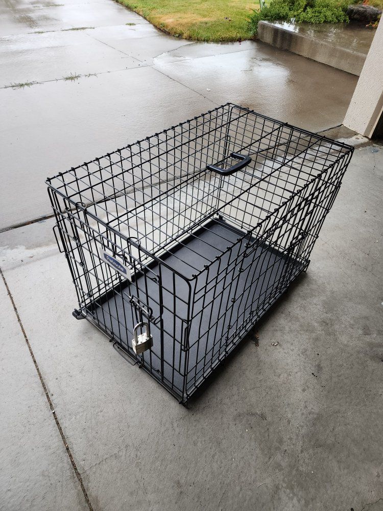 Petmate Wire Dog Crate Kennel with Plastic Pan and Lock