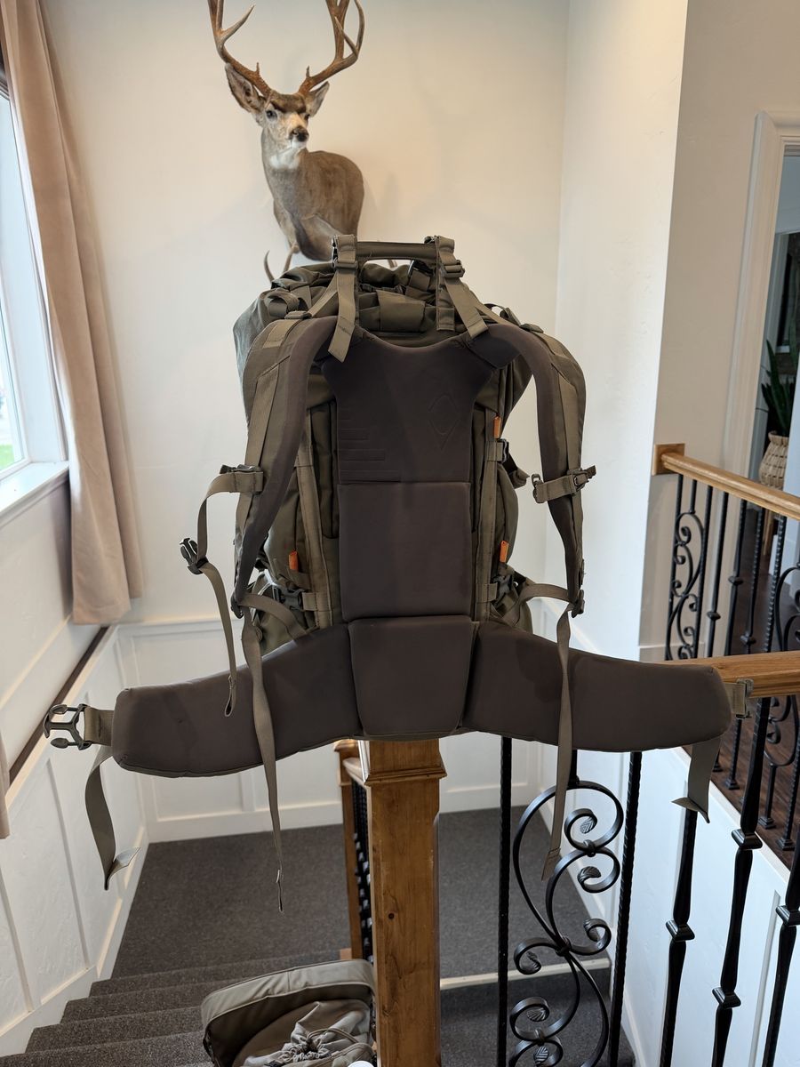 Main image 5