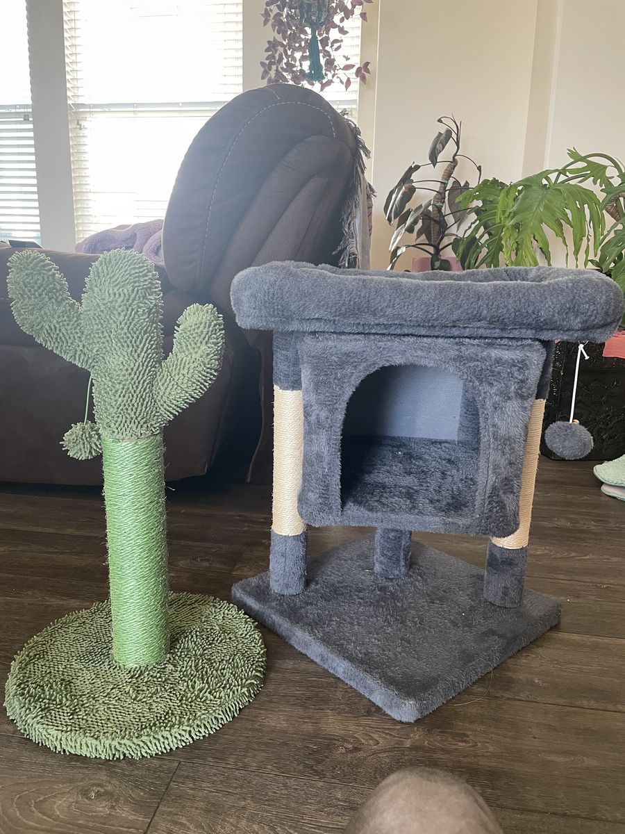 Cat cave and scratch post
