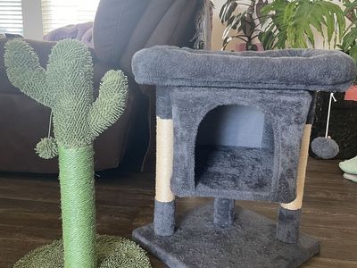 Cat cave and scratch post