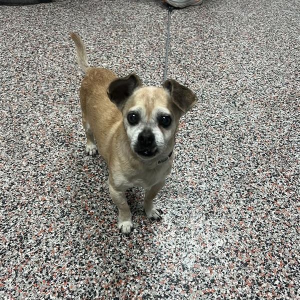 Hello my name is Maxwell