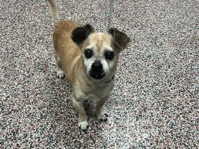 Hello my name is Maxwell