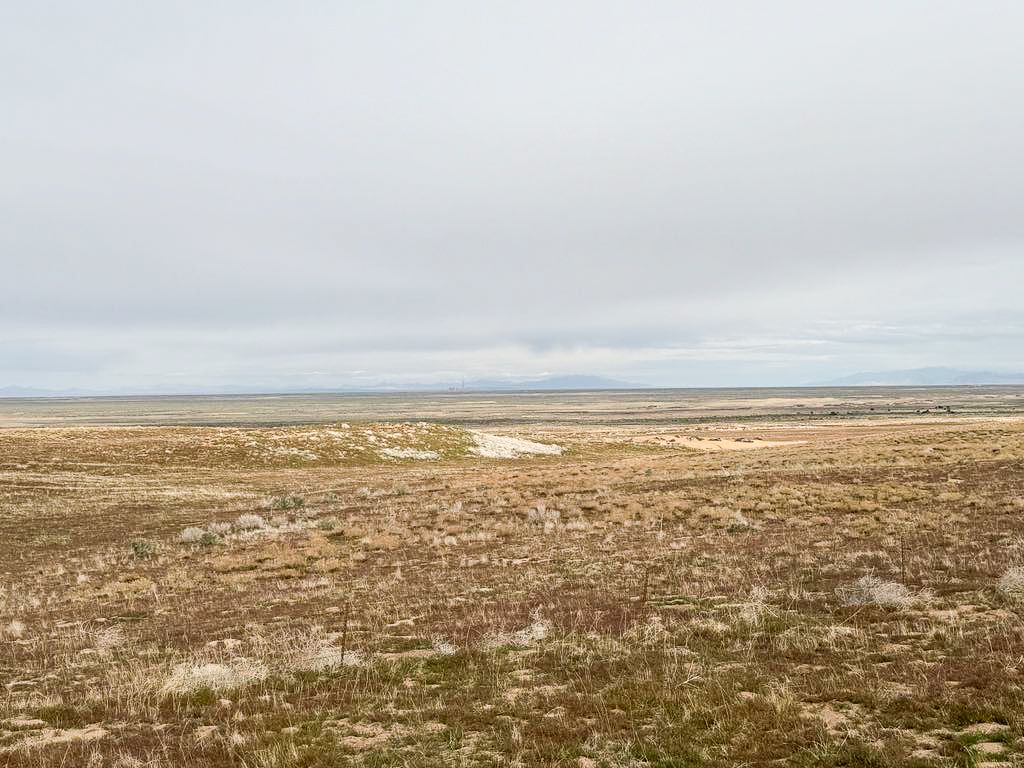 Main image 11