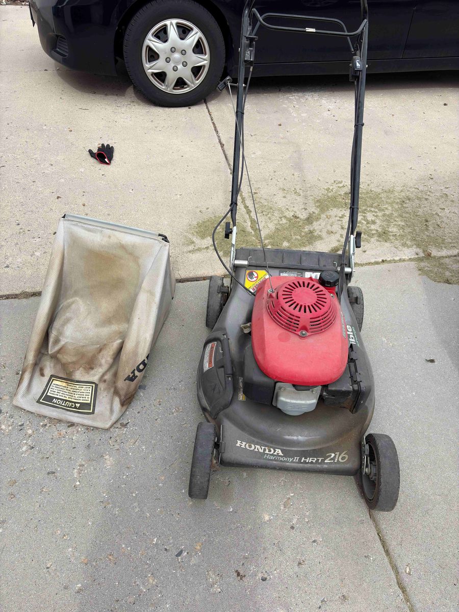 Main image 3