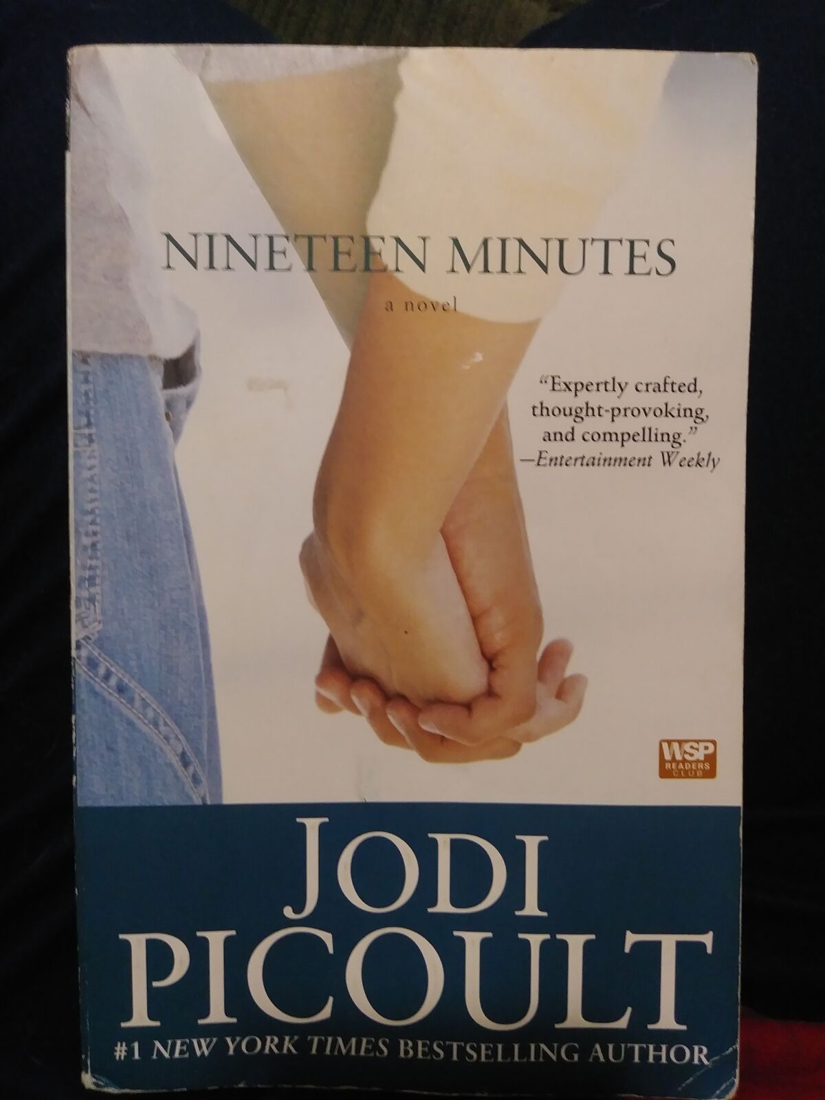 Nineteen Minutes Novel