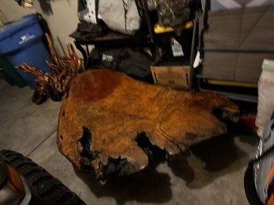 Redwood Burl Coffee/centerpiece Table