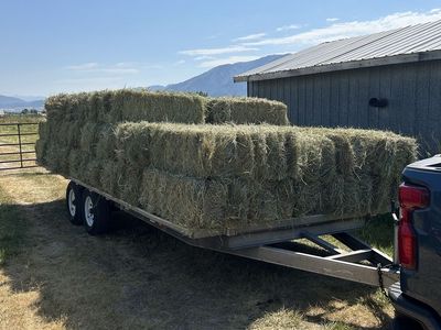 78 Bales fresh cut hay/grass. Bailed and on the trailer.