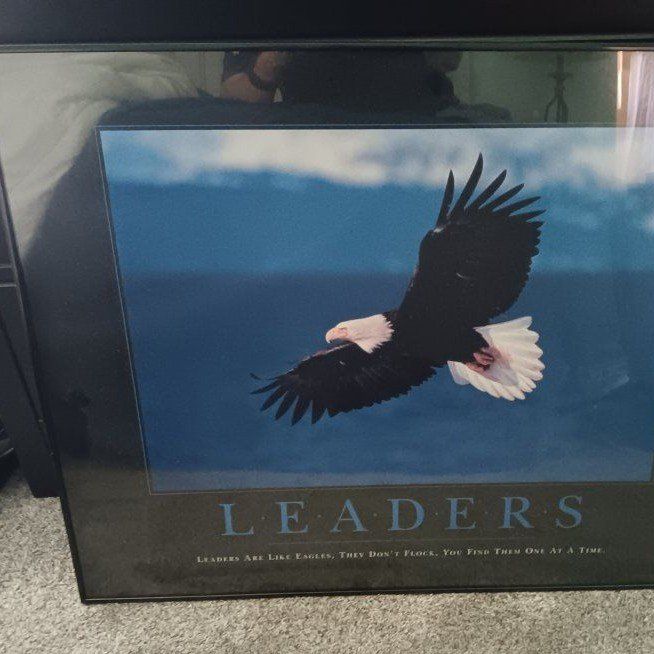 Eagle motivational picture