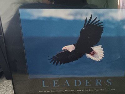 Eagle motivational picture