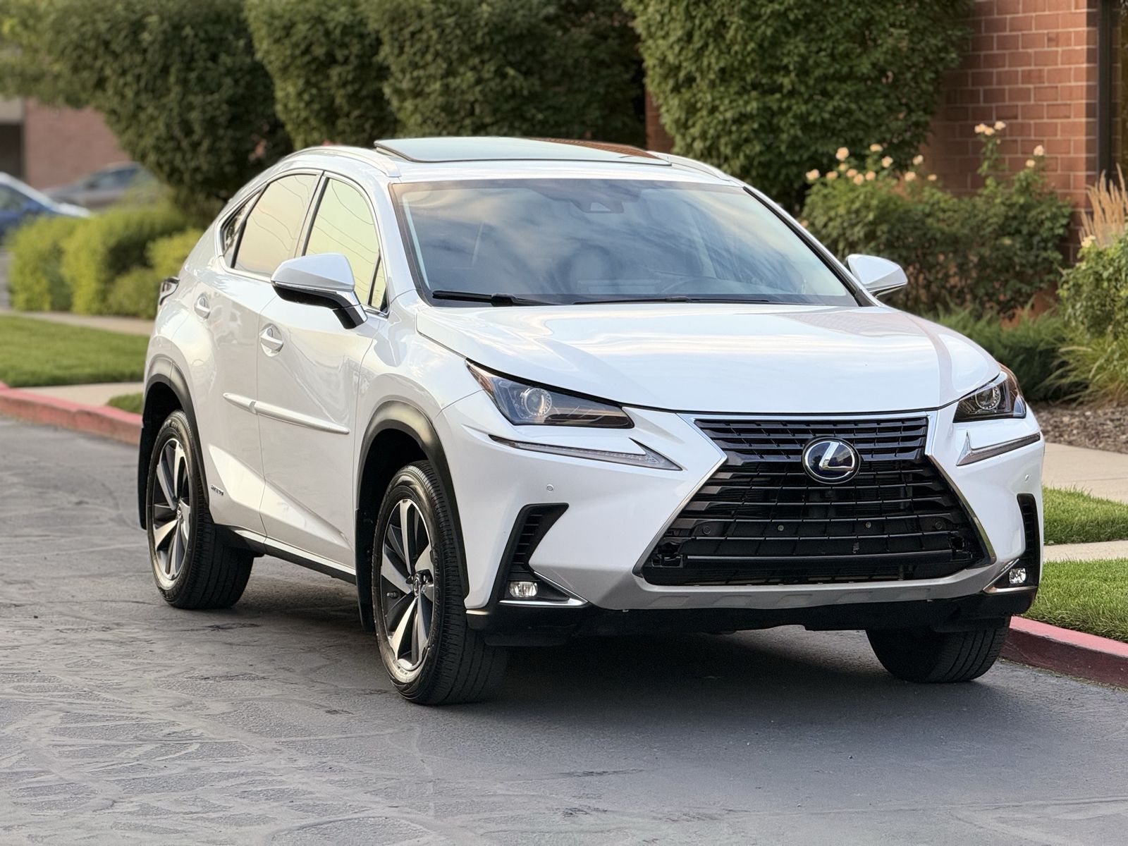 2021 Lexus NX 300h