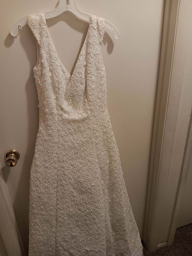 Bride beautiful wedding dress