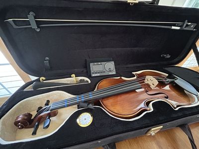 Viola