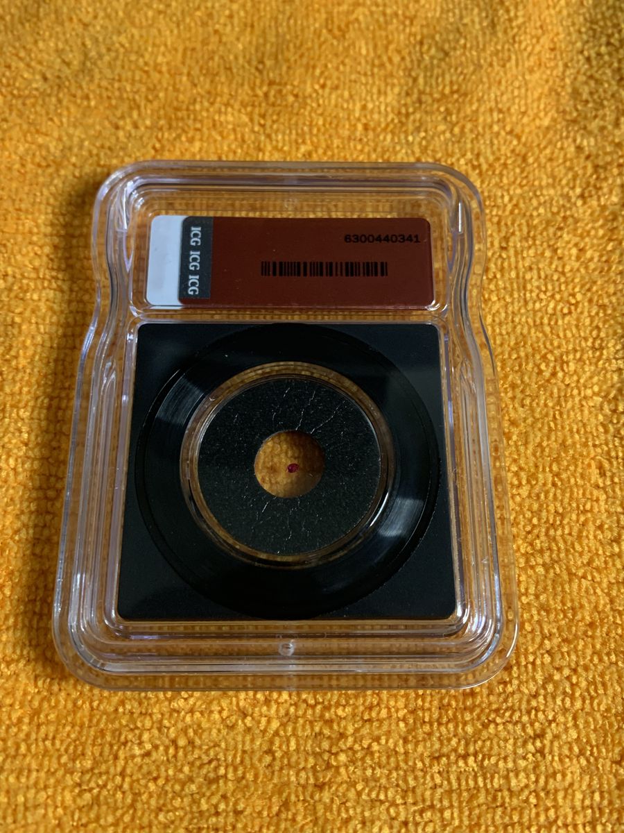 Main image 5