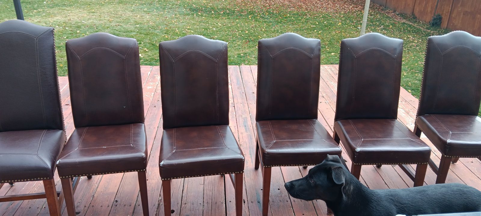 6 Leather Chairs for sale