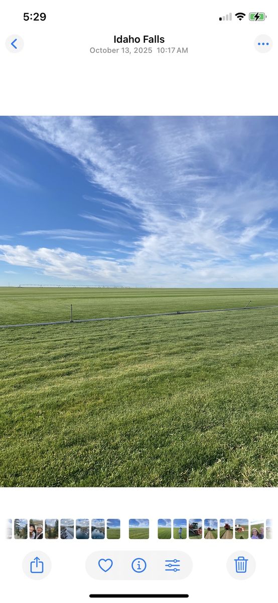 Beautiful Sod for sale