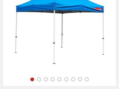 10×10. CANOPY