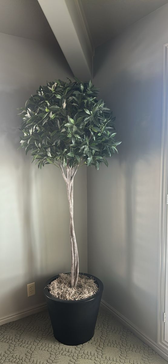 2 fake trees