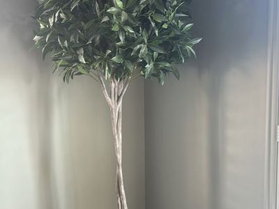 2 fake trees