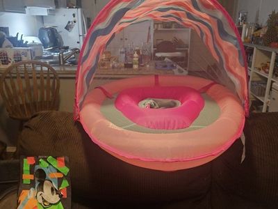 Aqua Swim School Inflatable Baby Pool Float with Sun Canopy Canopy - Pink Blue