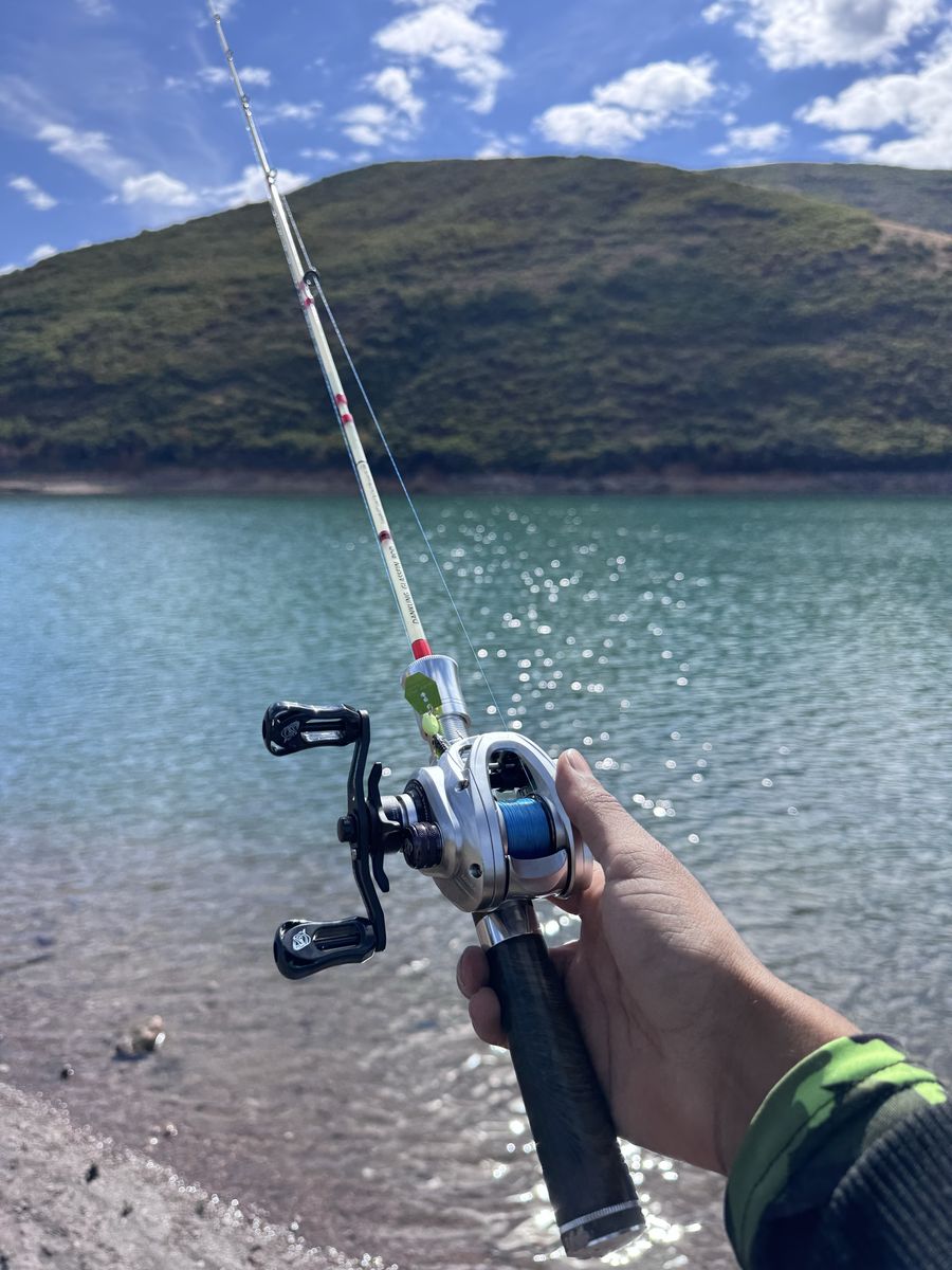 BFS Reel & Rod