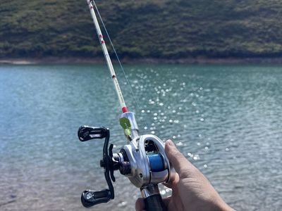 BFS Reel & Rod