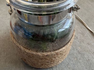 Clear Glass Terrarium with Faux Cacti & Succulents - Jute Rope Base - 6" Tall