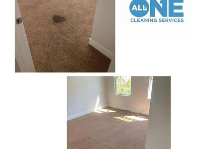 All-in-1 Cleaning Service