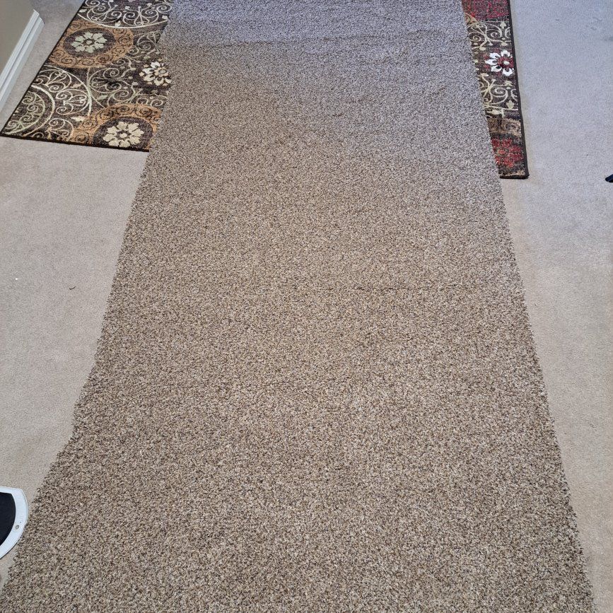 Carpet Remnant