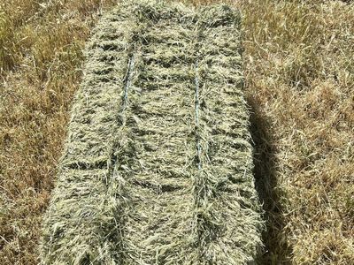 Free foxtail hay