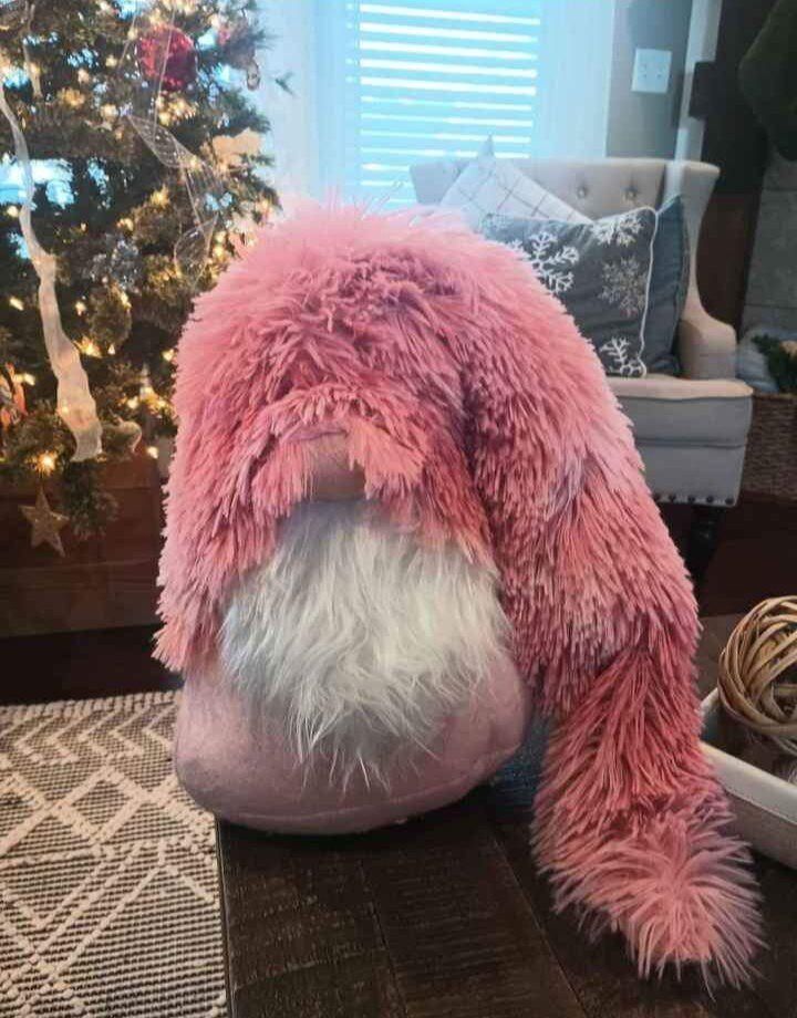 Brand new Gnome from Nordstrom Rack