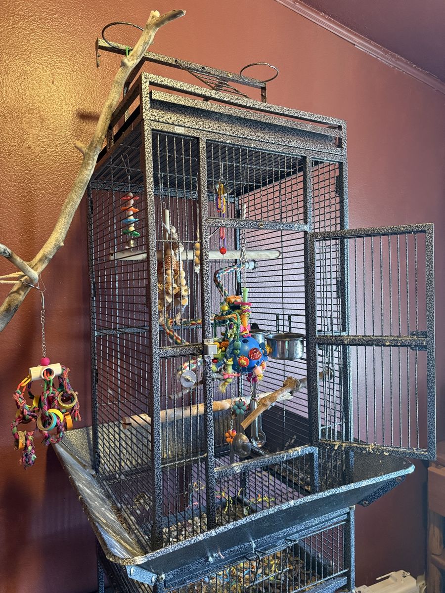 Main image 2