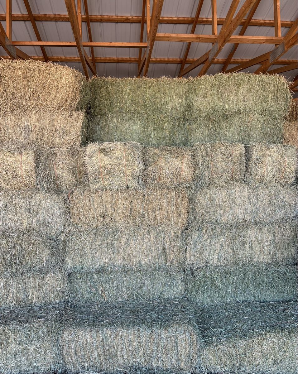 2025 2nd Crop Orchard Grass with Alfalfa Hay  - High-Quality Livestock Feed