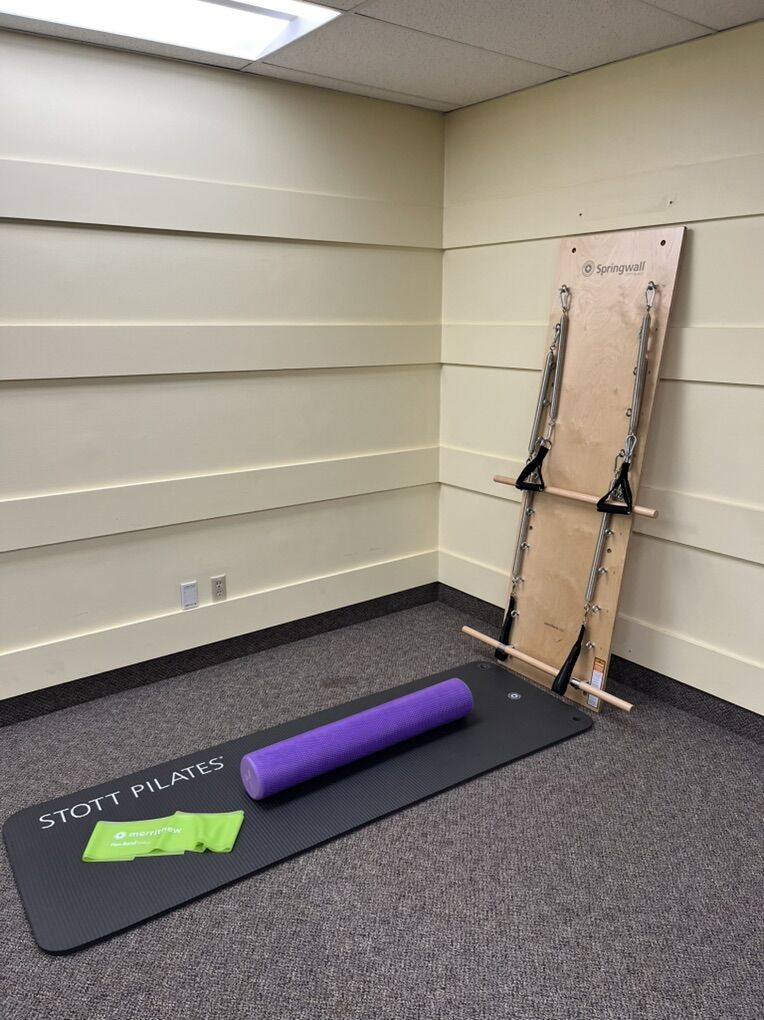 Springwall Pilates weights Stott Exercise Package