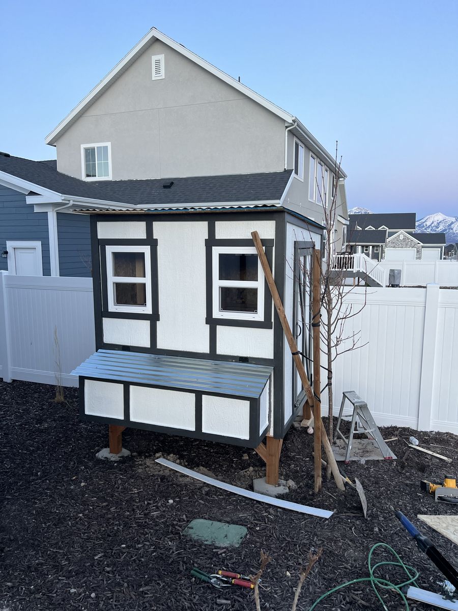 Chicken coop and chickens