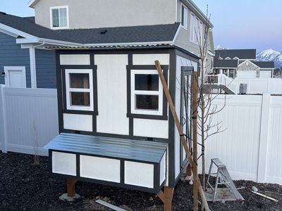 Chicken coop and chickens