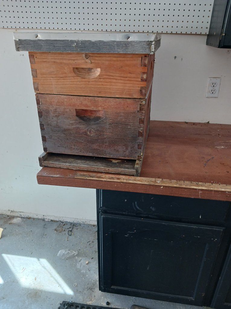 Bee hive
