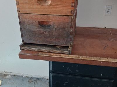 Bee hive